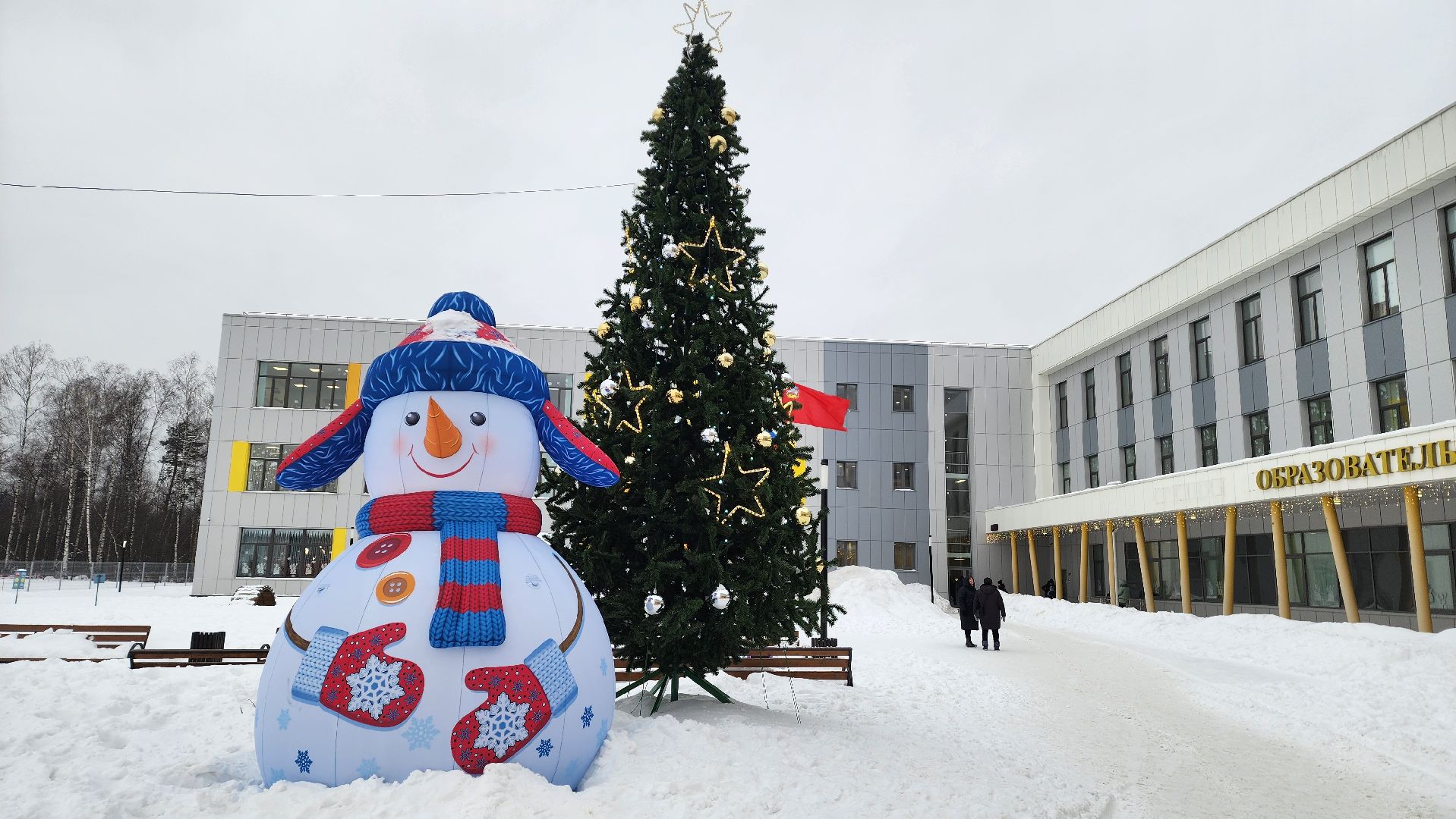 Подмосковье, Городской округ Пушкинский, Ивантеевка, Образование, ремесло, Столярное дело,
