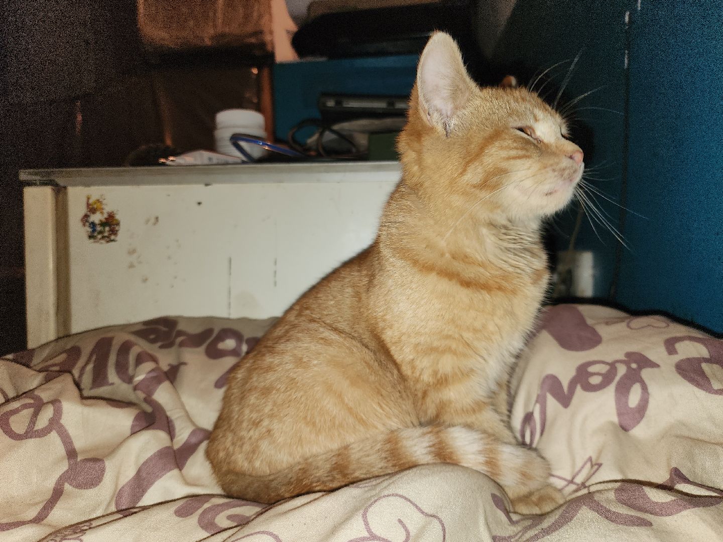 СВО, Любовь спаст мир, ДНР,