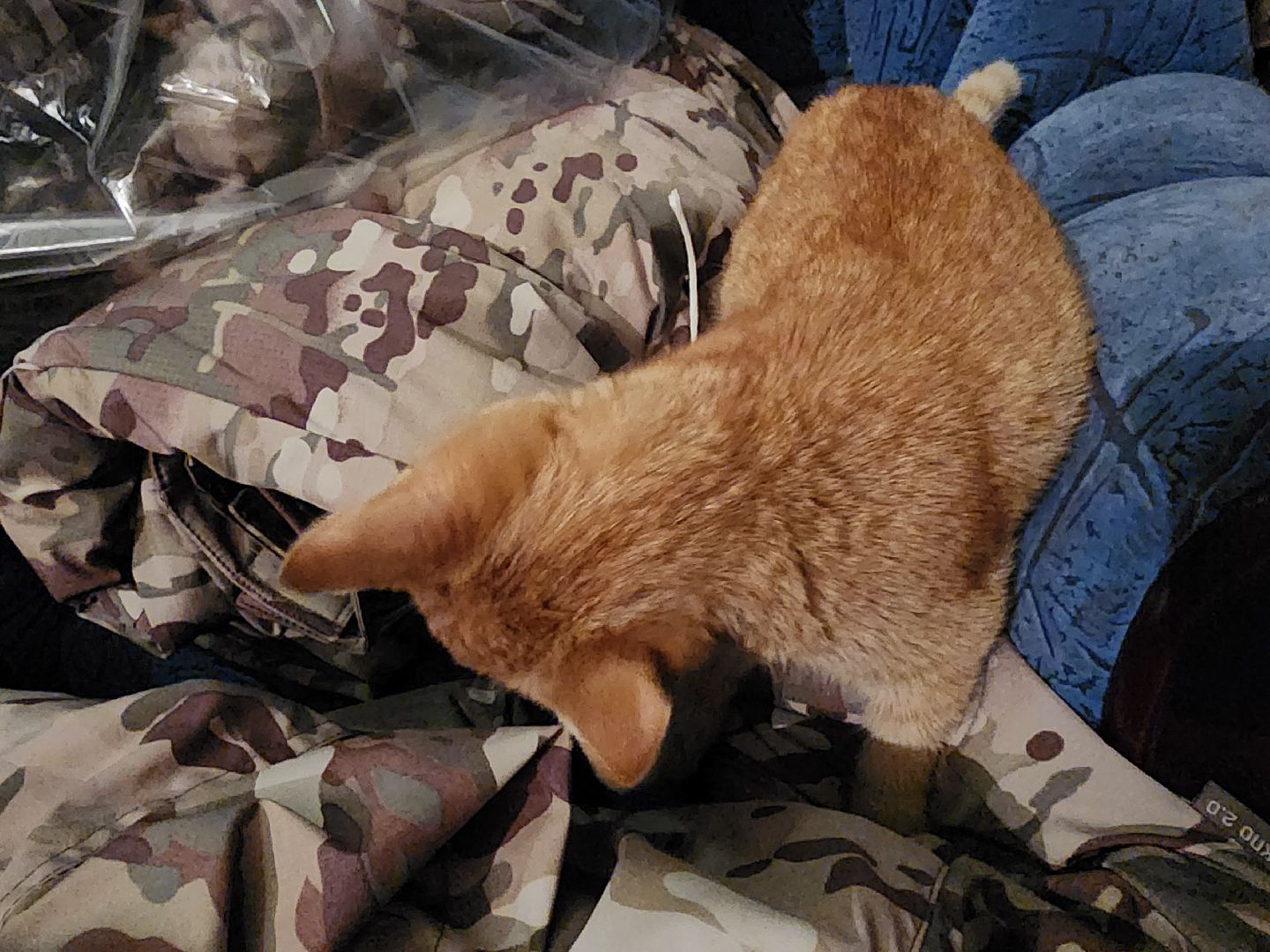 СВО, Любовь спаст мир, ДНР,