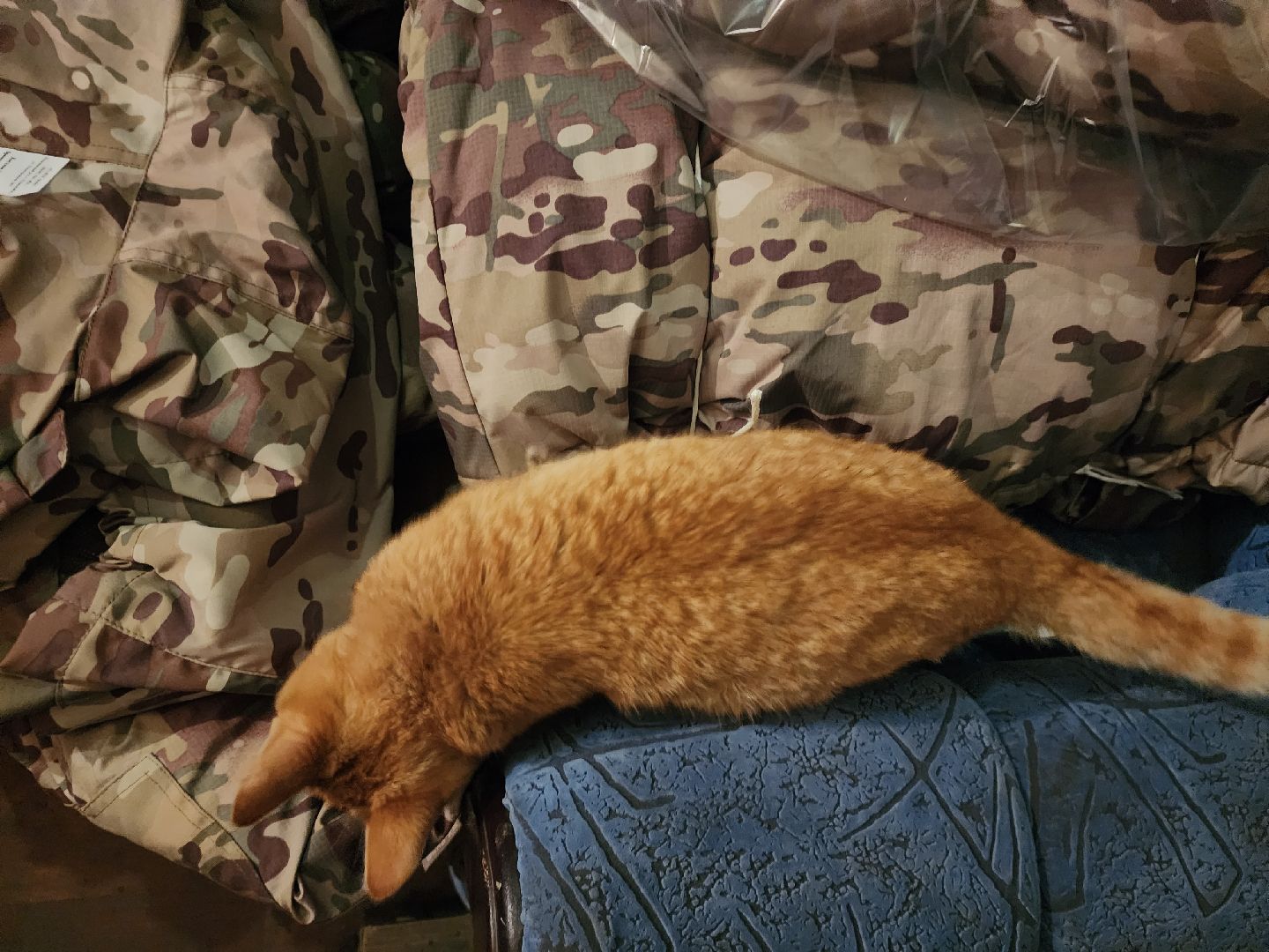 СВО, Любовь спаст мир, ДНР,