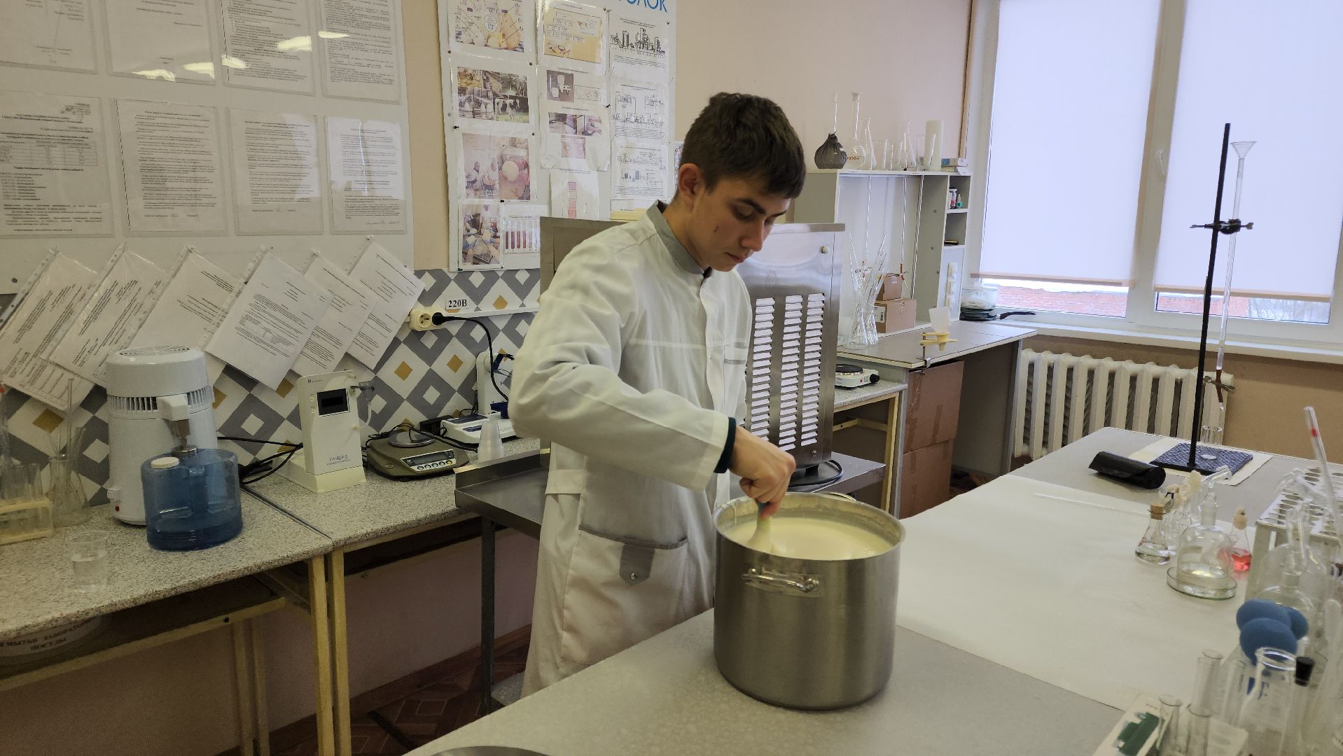 волоколамск, техникум, ват холмогорка, мороженое, студенты, день студента,