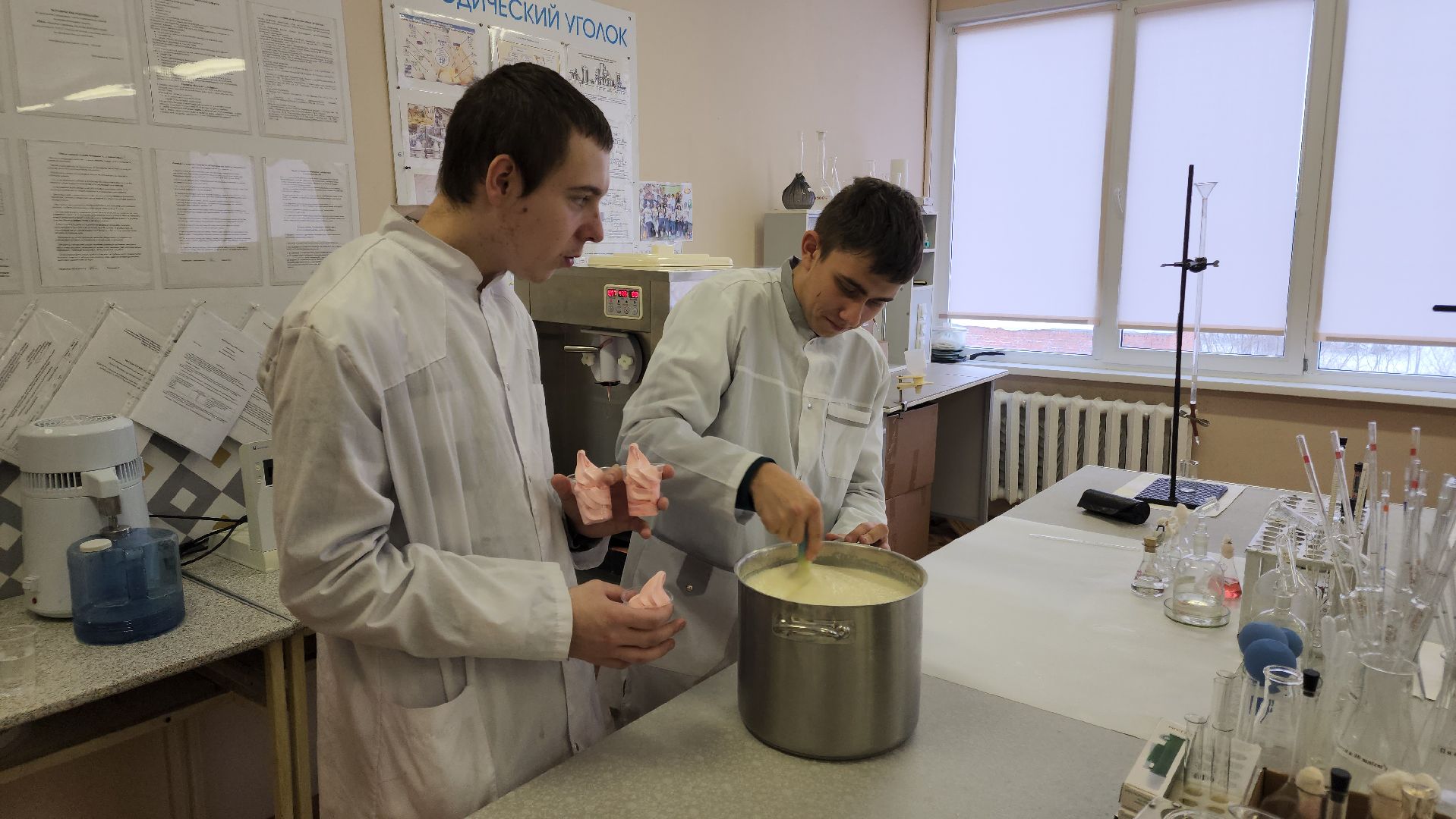 волоколамск, техникум, ват холмогорка, мороженое, студенты, день студента,