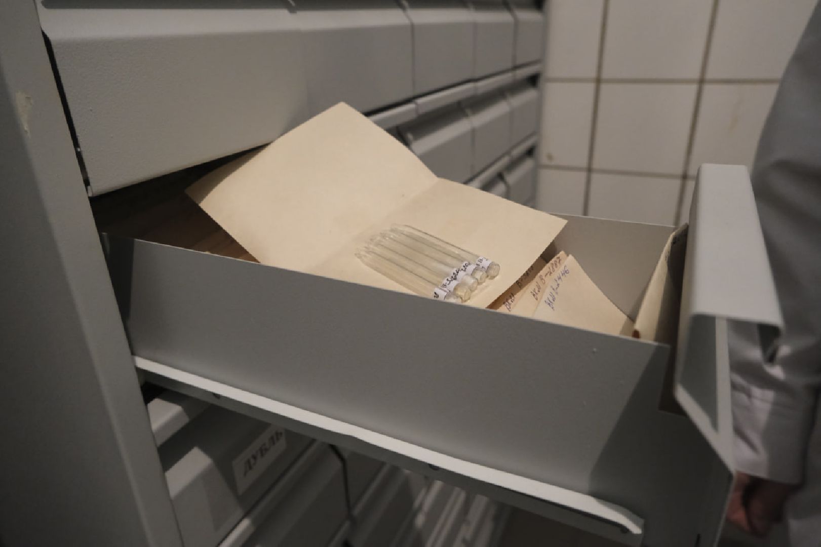 пущино, серпухов, наука, отрытия,