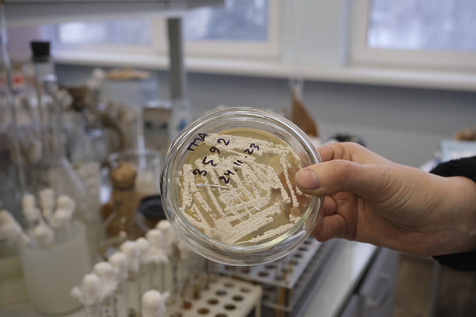 пущино, серпухов, наука, отрытия,