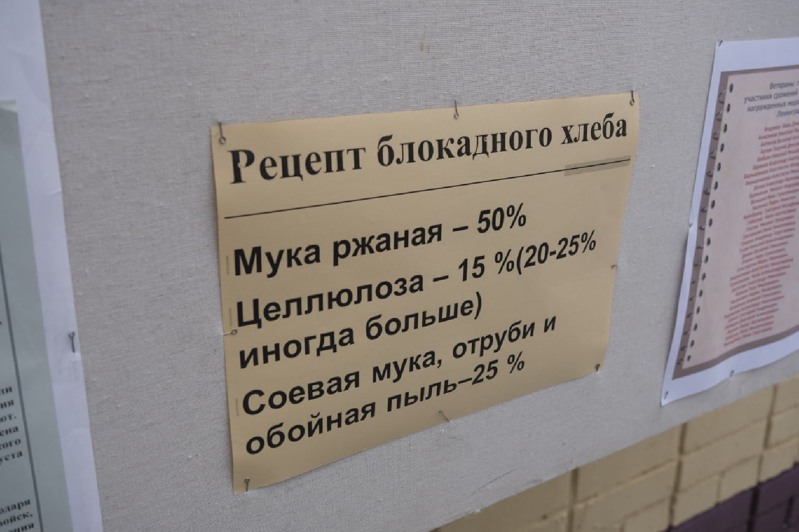 пущино, блокада ленинграда,