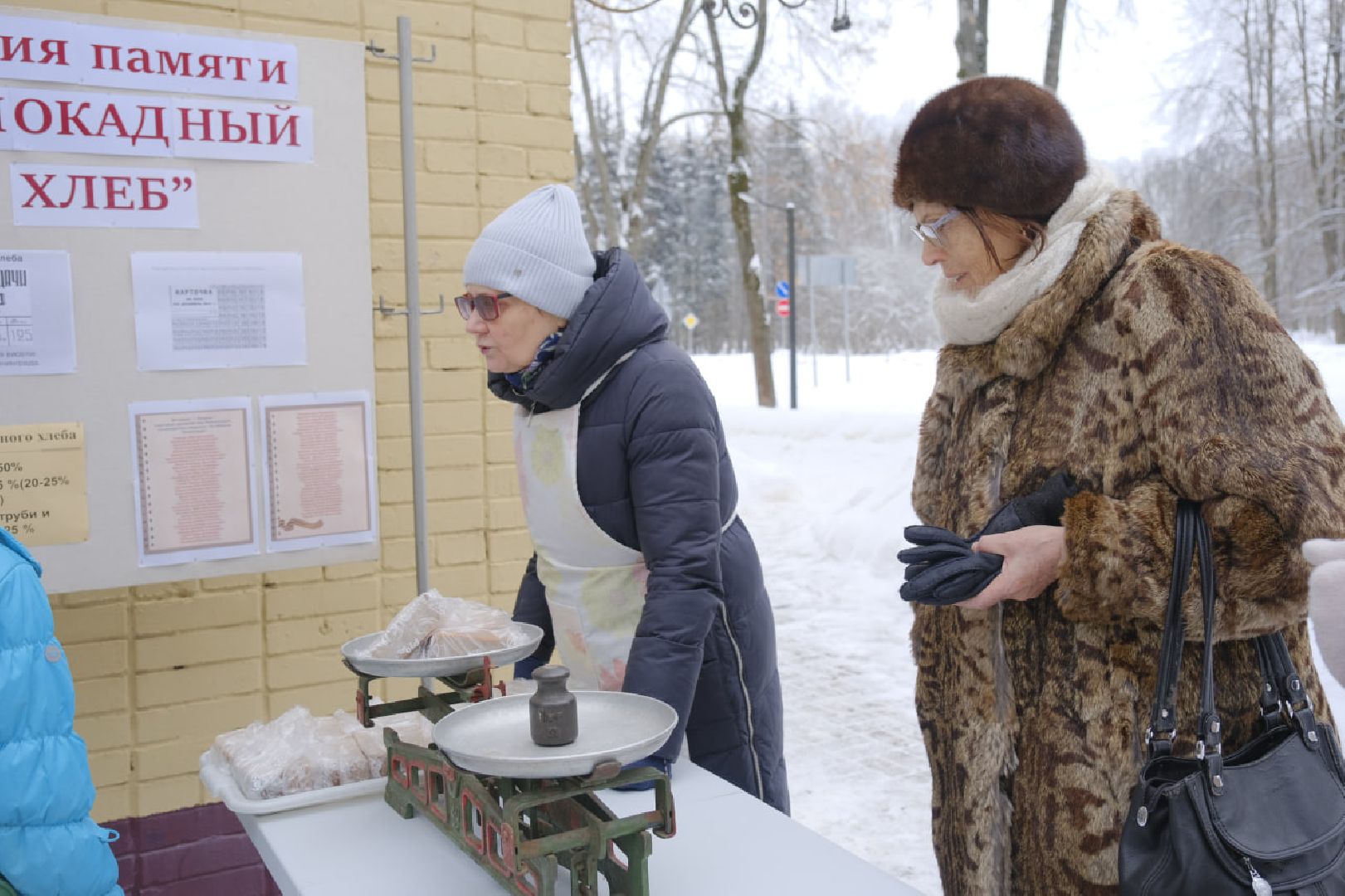 пущино, блокада ленинграда,