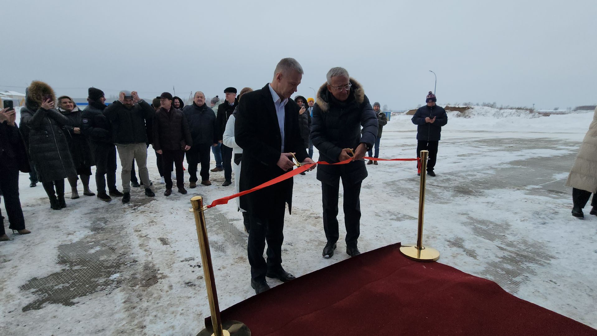 бумажная посуда, вилка из бумаги, серпухов, экономика, экология, промышленность,