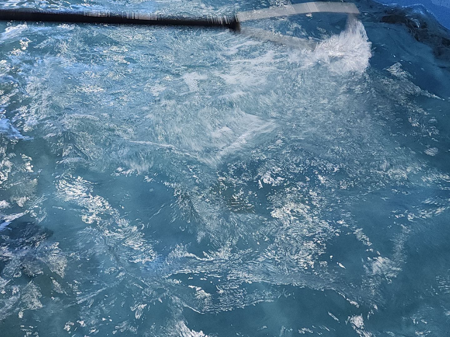 коломна, спорт, гребля,