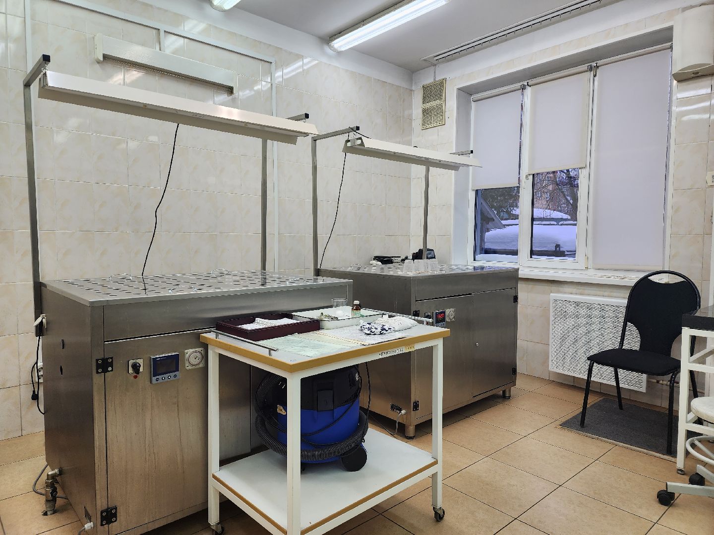 пушкино, лесопитомник, ель, кремль, новогодняя елка, волонтеры,