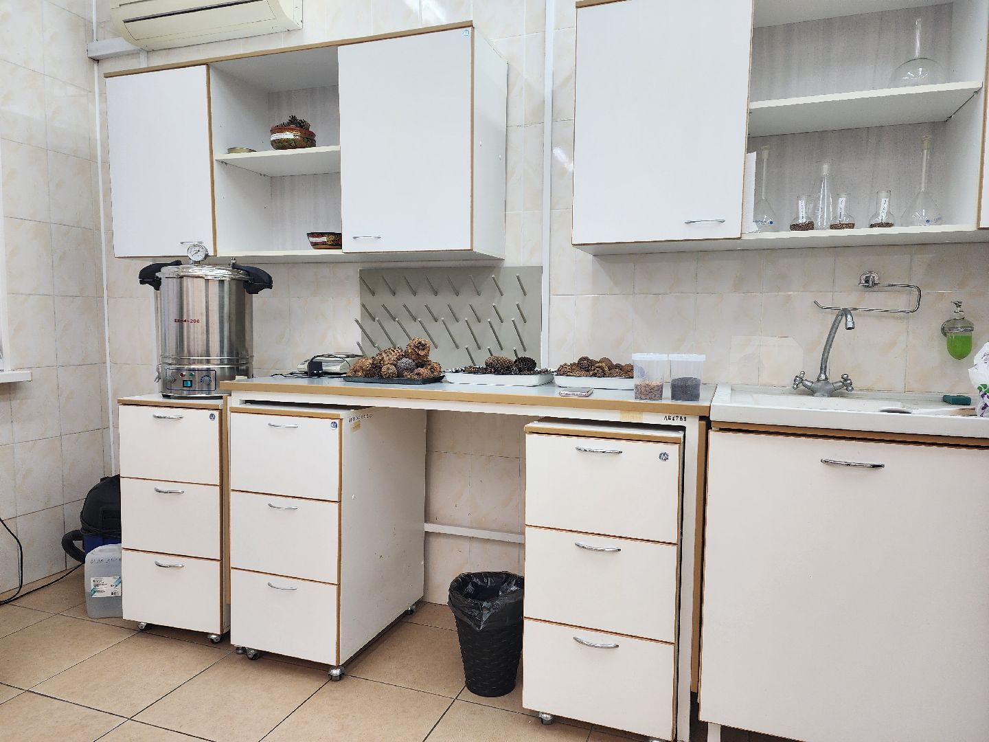 пушкино, лесопитомник, ель, кремль, новогодняя елка, волонтеры,