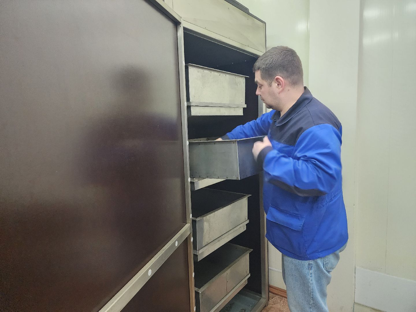 пушкино, лесопитомник, ель, кремль, новогодняя елка, волонтеры,