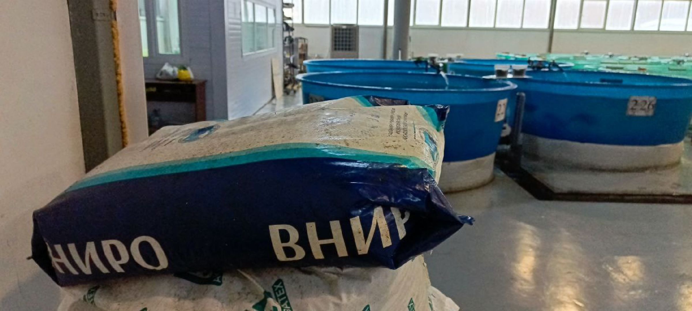 Дмитров, Рыбное, ВНИИПРХ, ВНИРО,