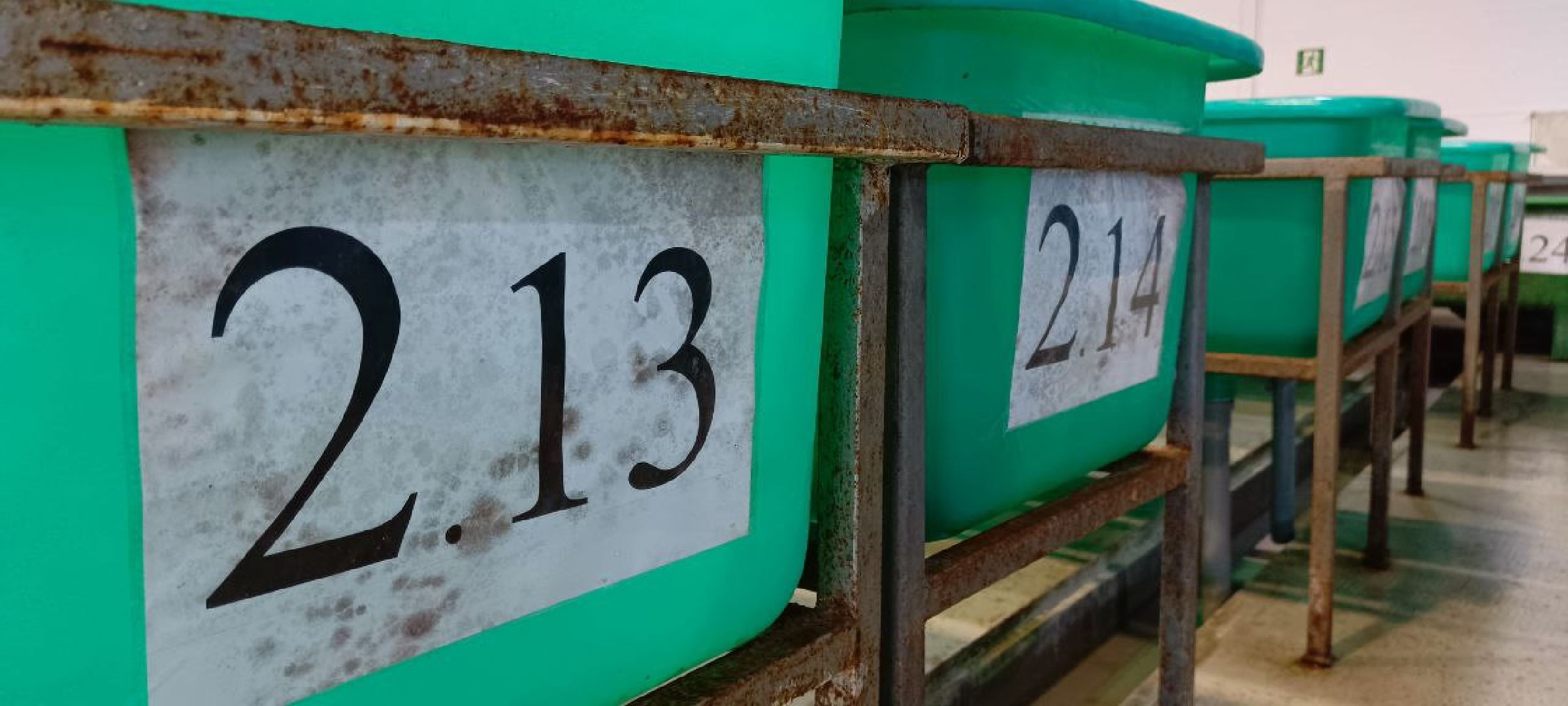 Дмитров, Рыбное, ВНИИПРХ, ВНИРО,