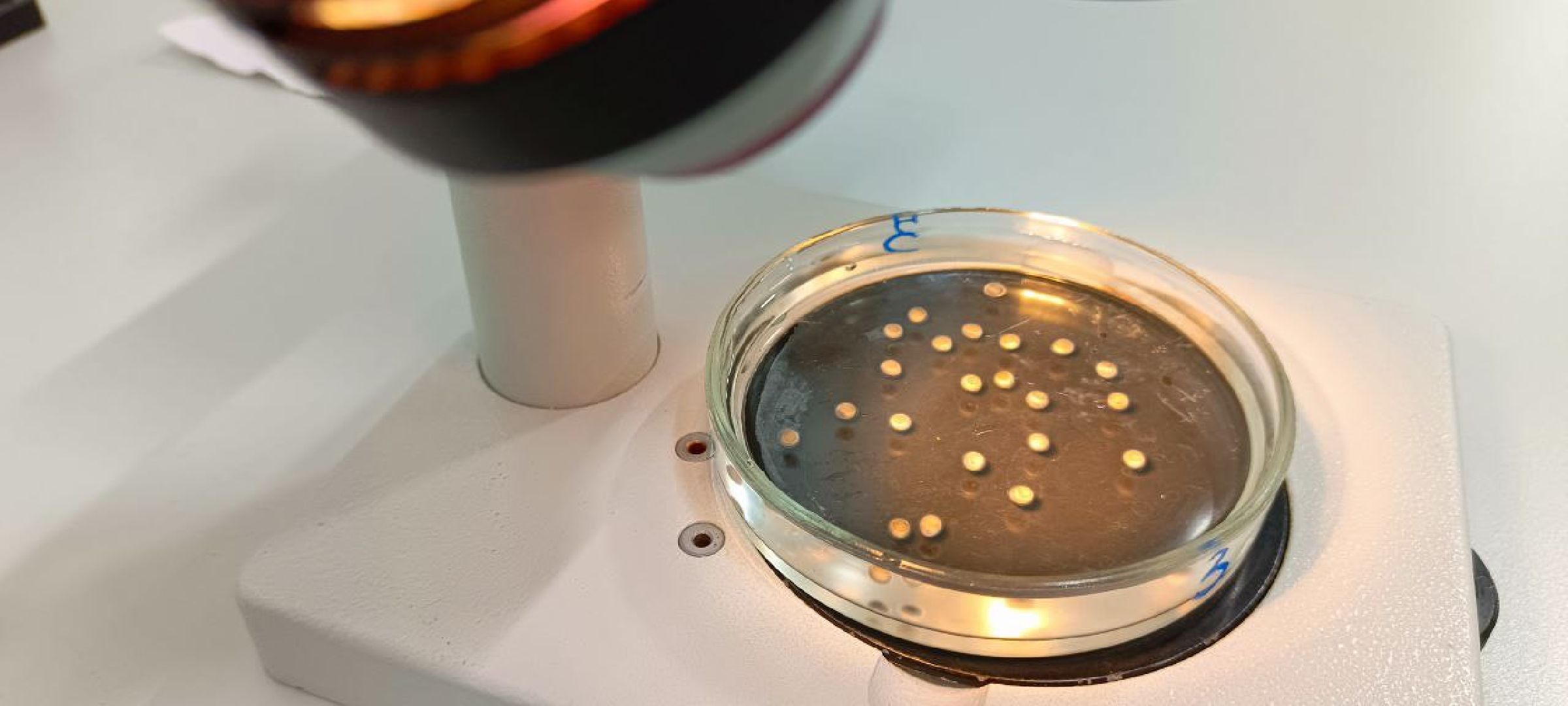 Дмитров, Рыбное, ВНИИПРХ, ВНИРО,