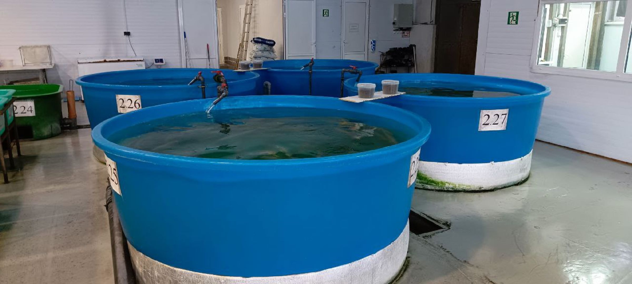 Дмитров, Рыбное, ВНИИПРХ, ВНИРО,