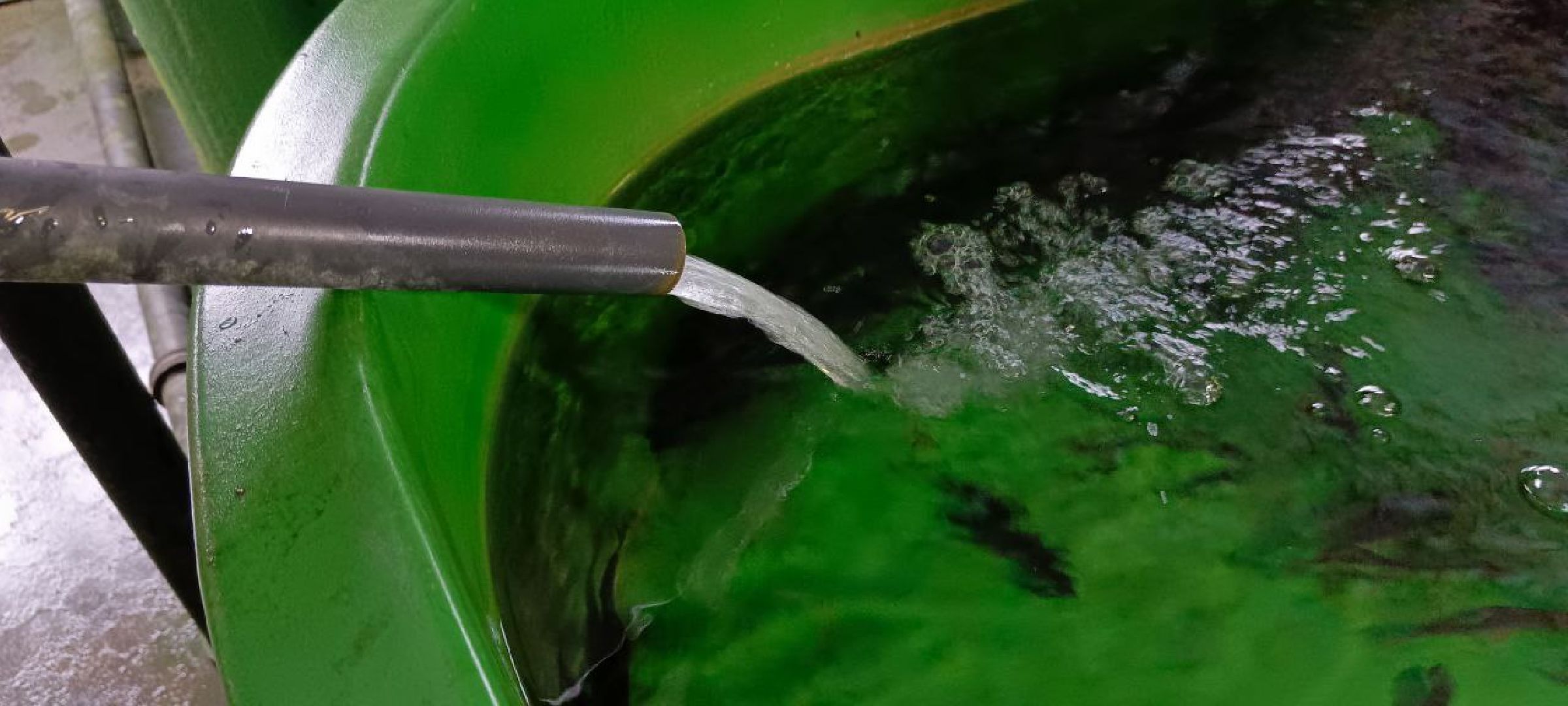 Дмитров, Рыбное, ВНИИПРХ, ВНИРО,