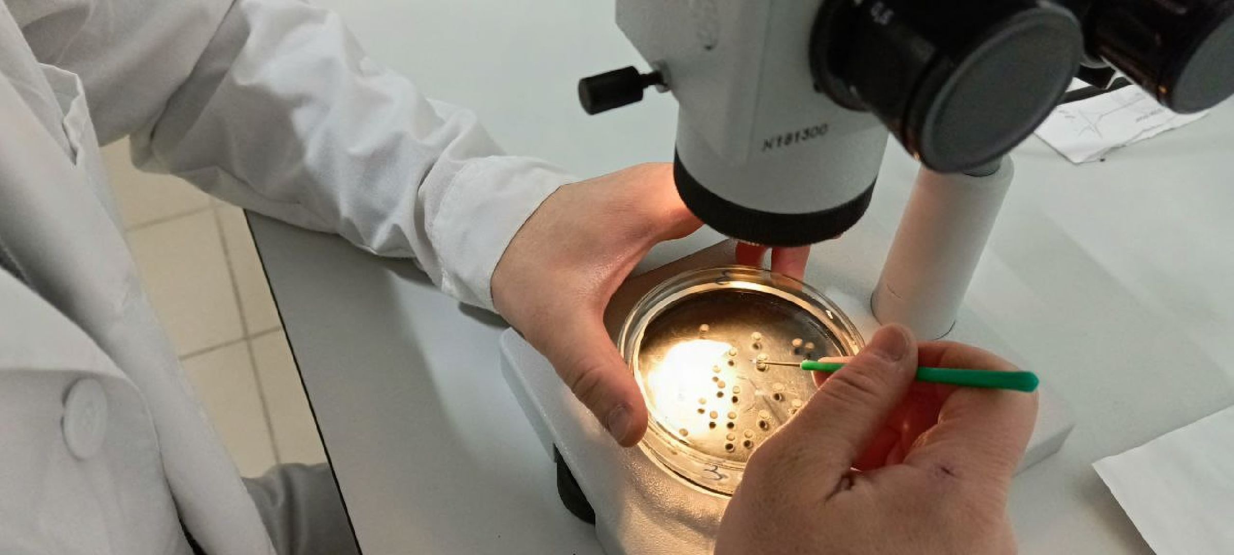 Дмитров, Рыбное, ВНИИПРХ, ВНИРО,