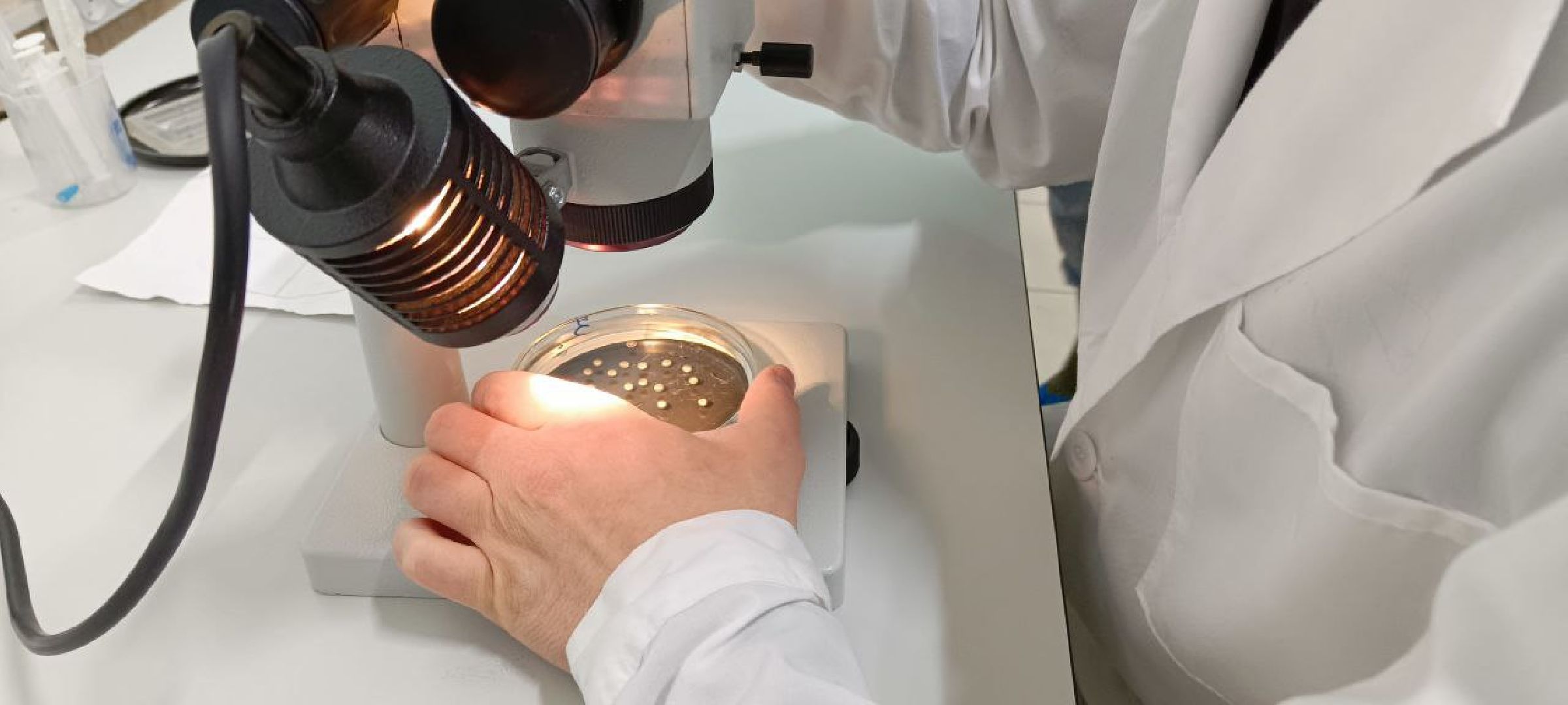 Дмитров, Рыбное, ВНИИПРХ, ВНИРО,