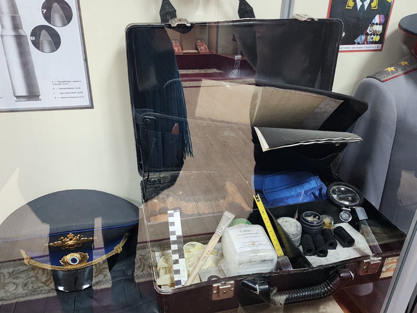 день студента, полиция, выбор профессии,