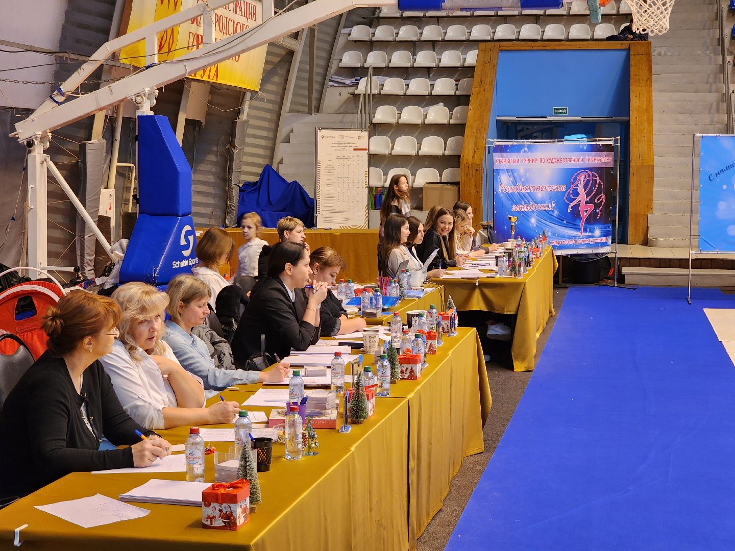 художественнная гимнастика, спорт, первенство, Ногинск, Богородский городской окргу,