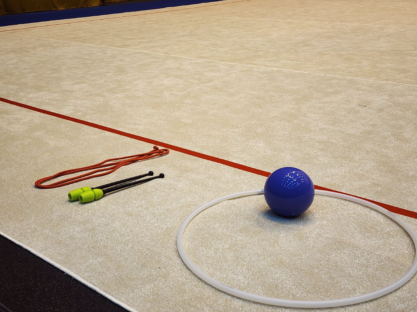 художественнная гимнастика, спорт, первенство, Ногинск, Богородский городской окргу,