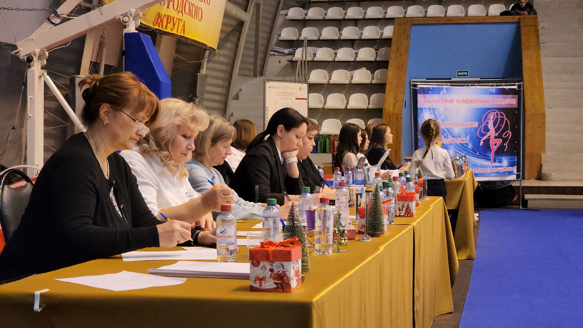 художественнная гимнастика, спорт, первенство, Ногинск, Богородский городской окргу,