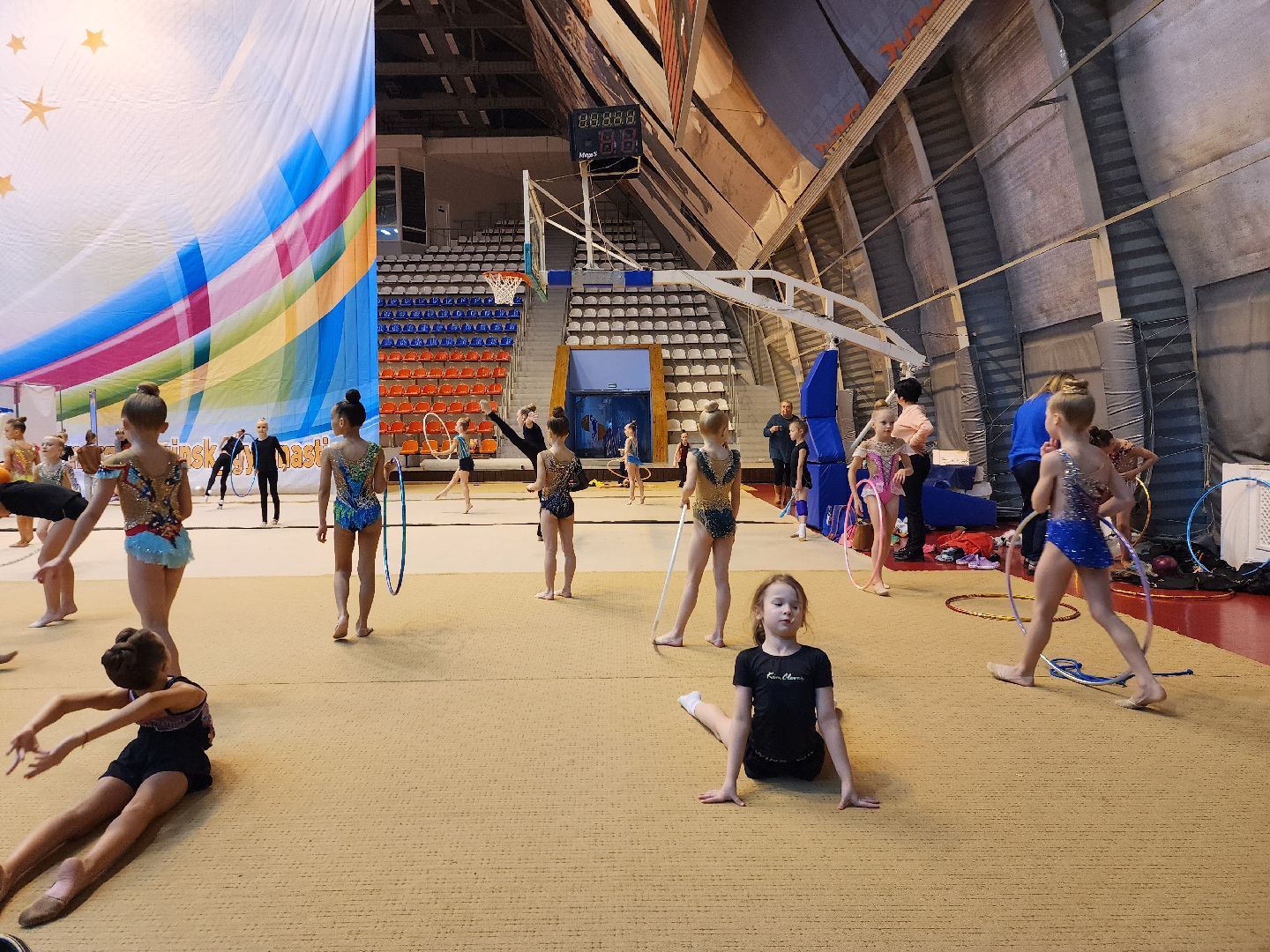 художественнная гимнастика, спорт, первенство, Ногинск, Богородский городской окргу,