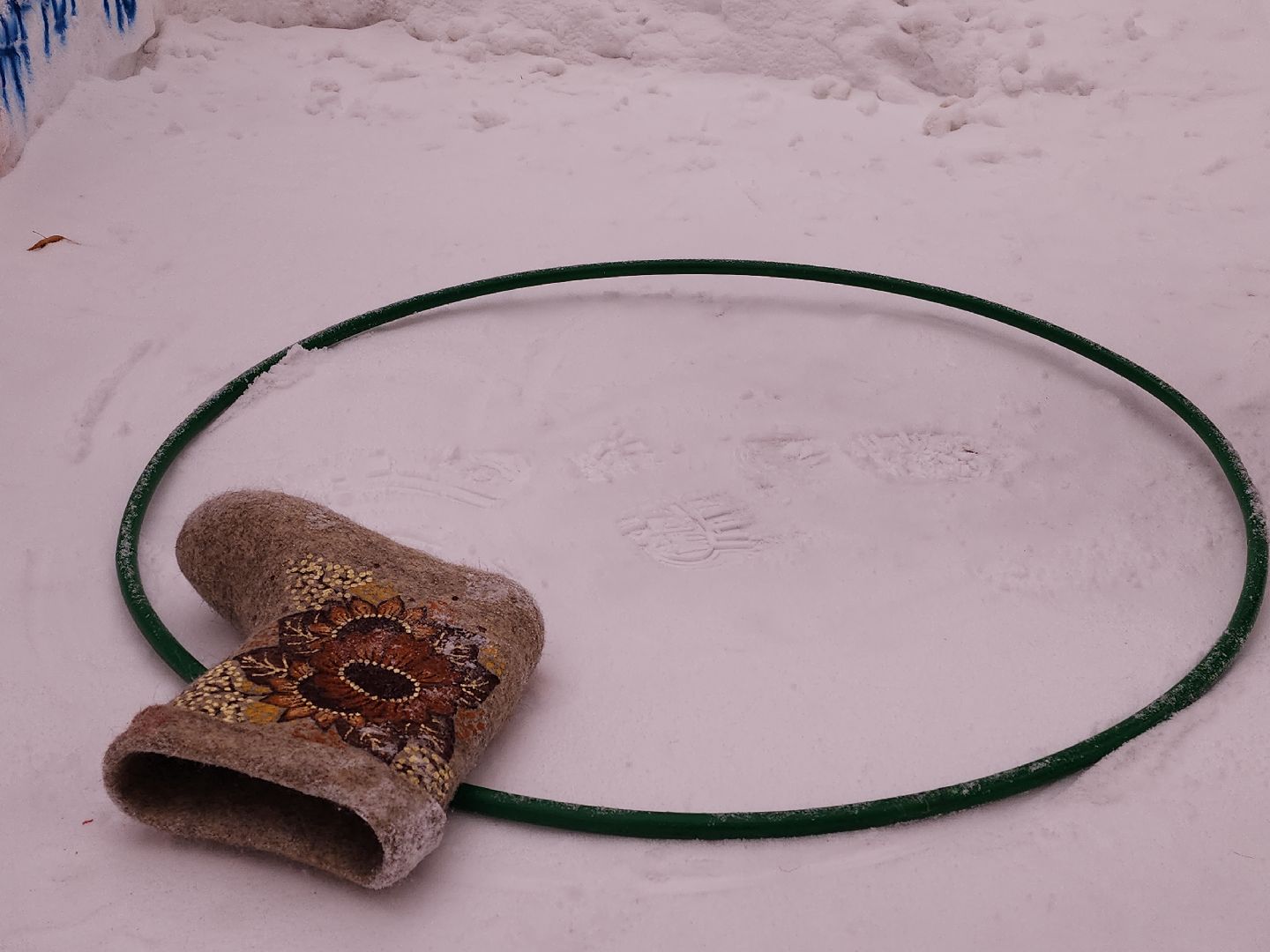 коломна, образование, день студента,