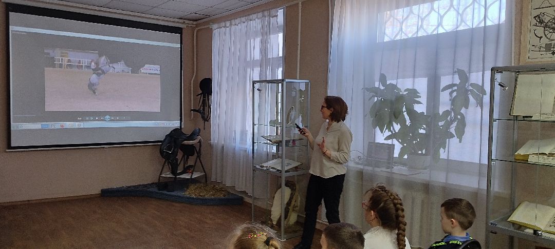 Музей, Бронницы, Архангельское