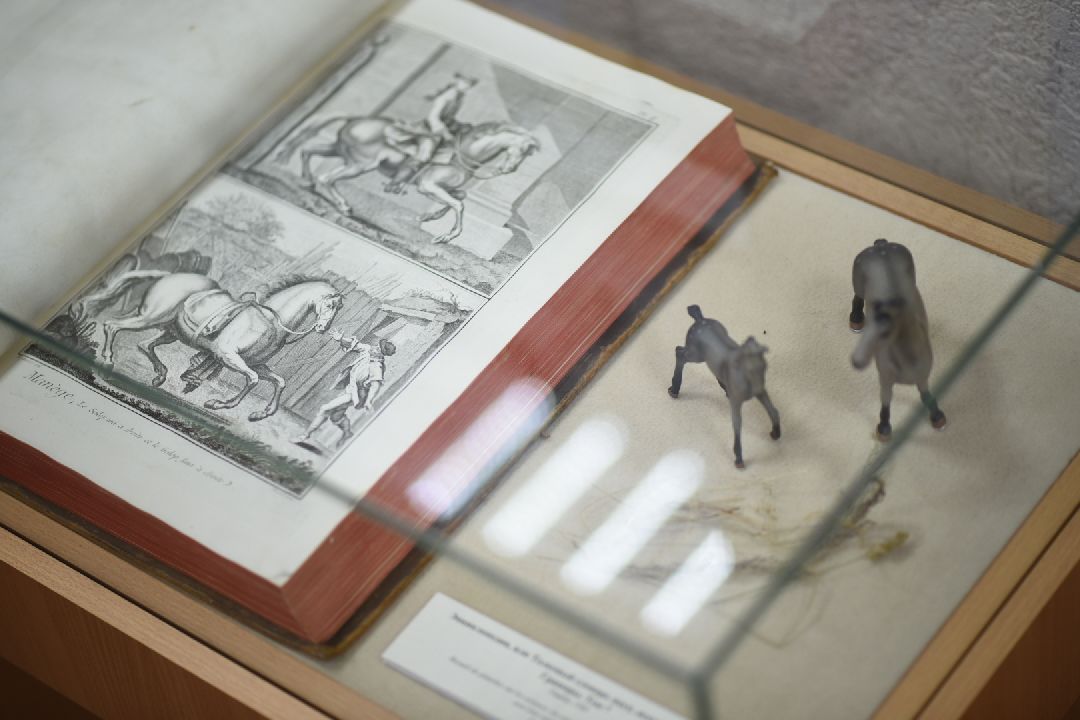 Музей, Бронницы, Архангельское