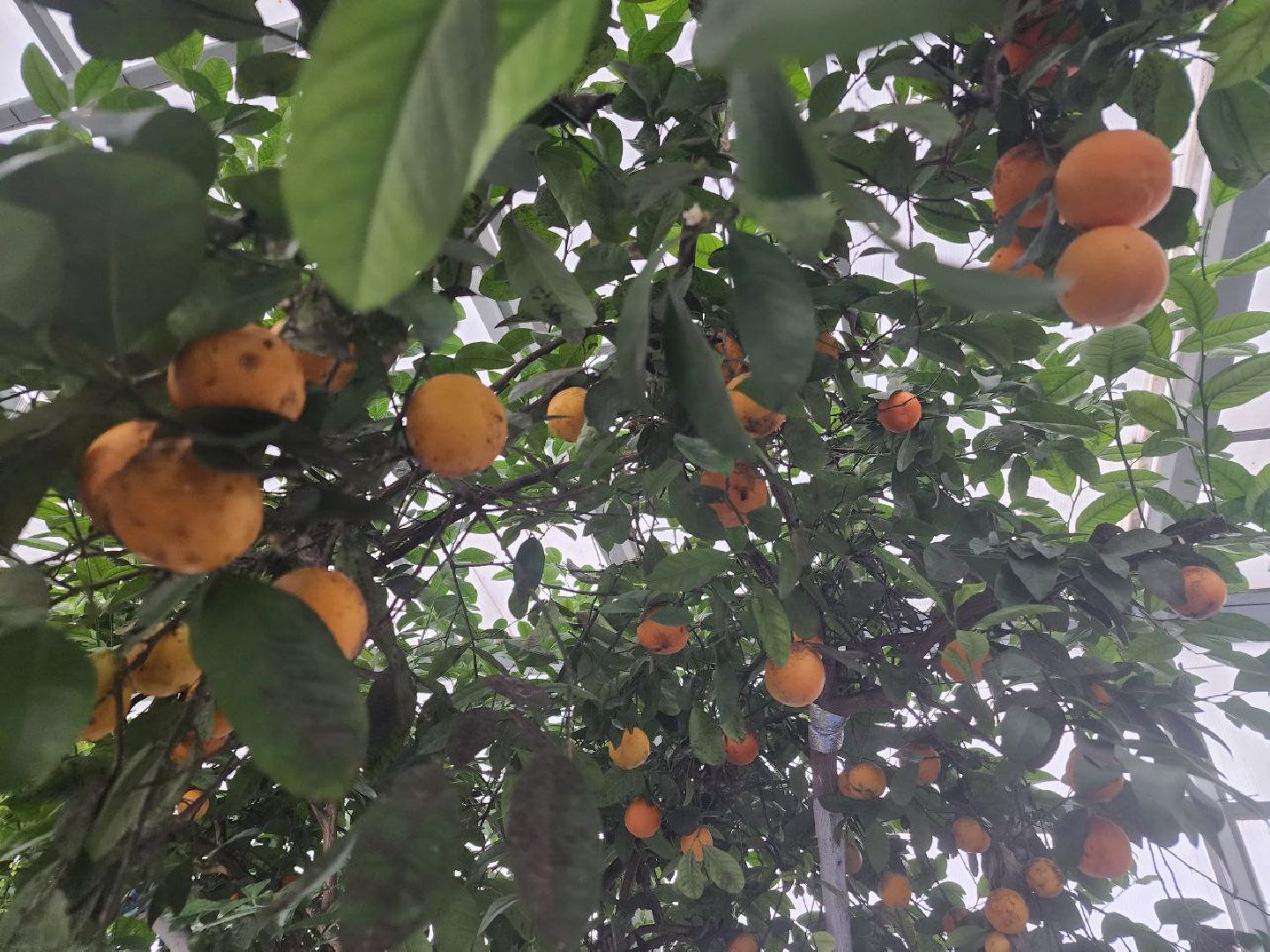 детский центр,