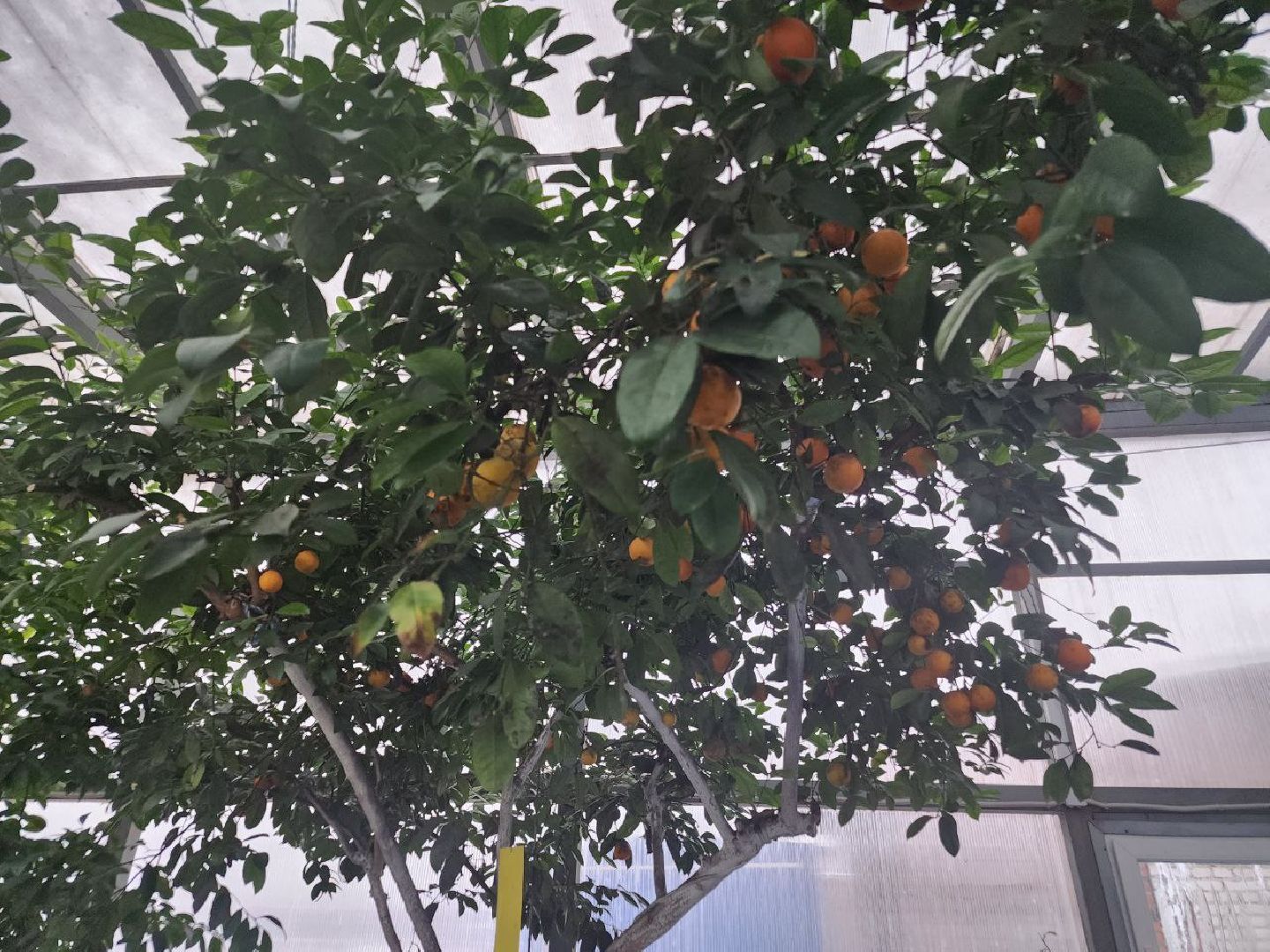 детский центр,