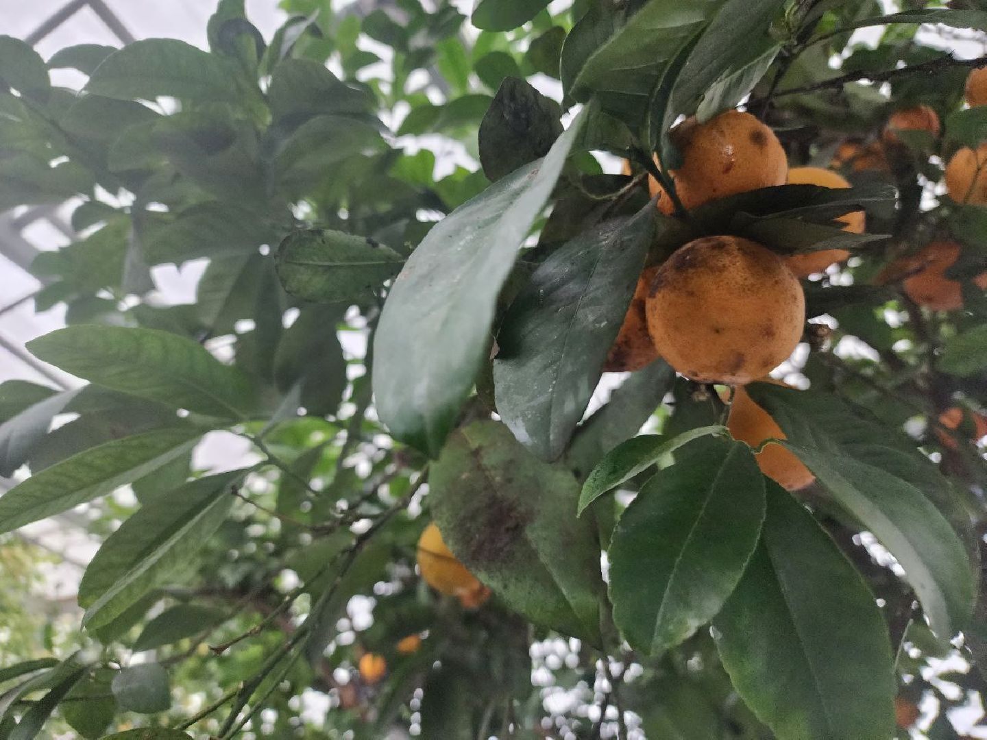 детский центр,