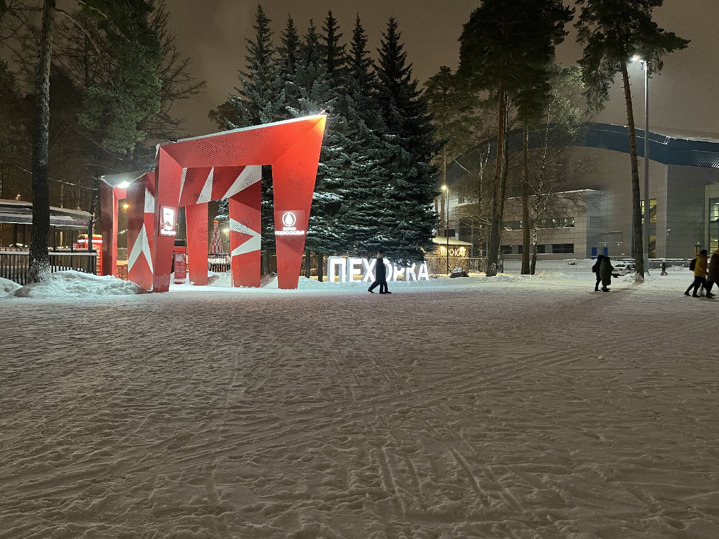 волонтерский центр, каток в парке, волонтерское движение, день студента,