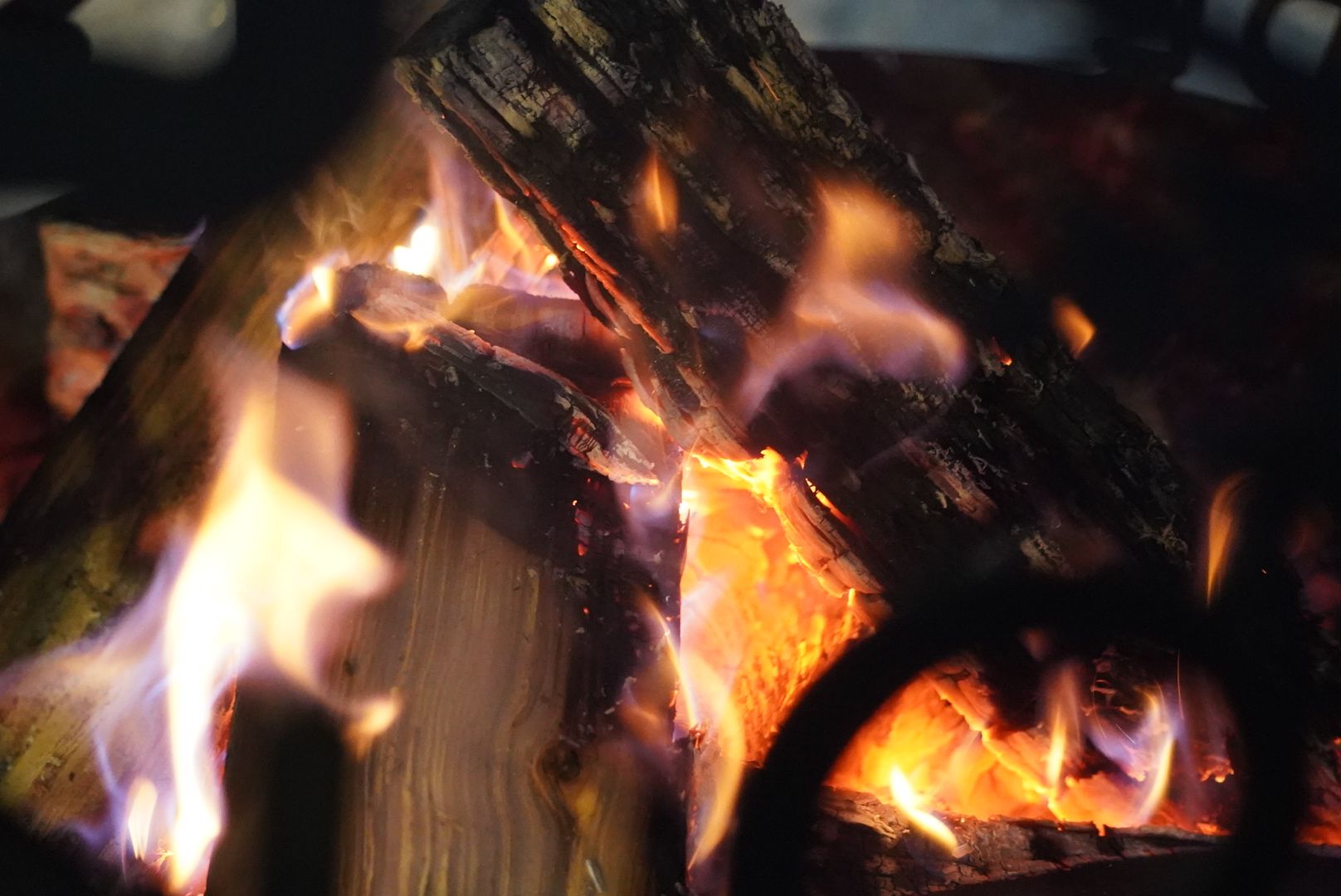 Павловский Посад, Городской округ Павловский Посад, День студента, Парк, Празник, чаепитие,