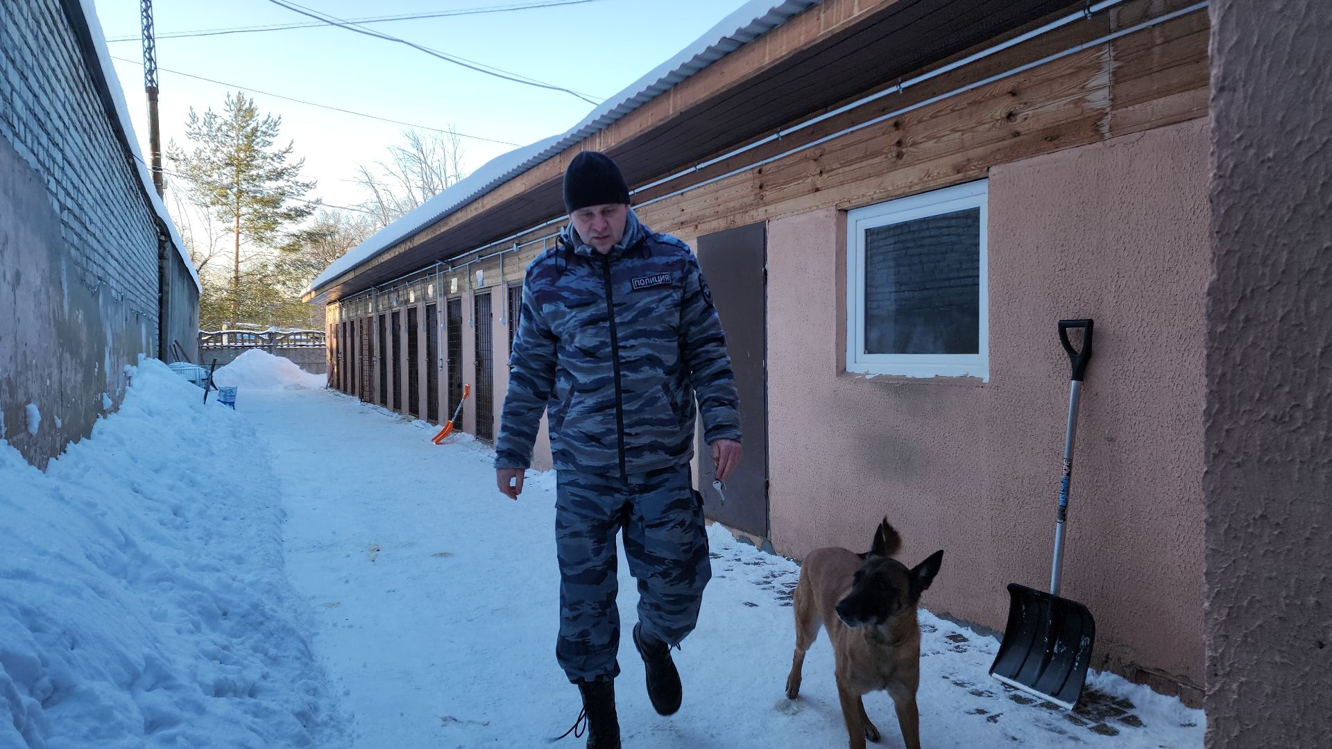 электросталь, мой город, безопасность, умвд россии, полиция, полиция электростали, кинолог, кинологи,