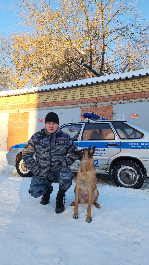 электросталь, мой город, безопасность, умвд россии, полиция, полиция электростали, кинолог, кинологи,