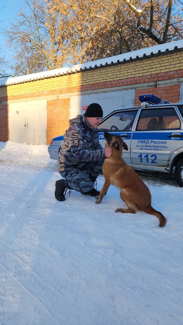 электросталь, мой город, безопасность, умвд россии, полиция, полиция электростали, кинолог, кинологи,
