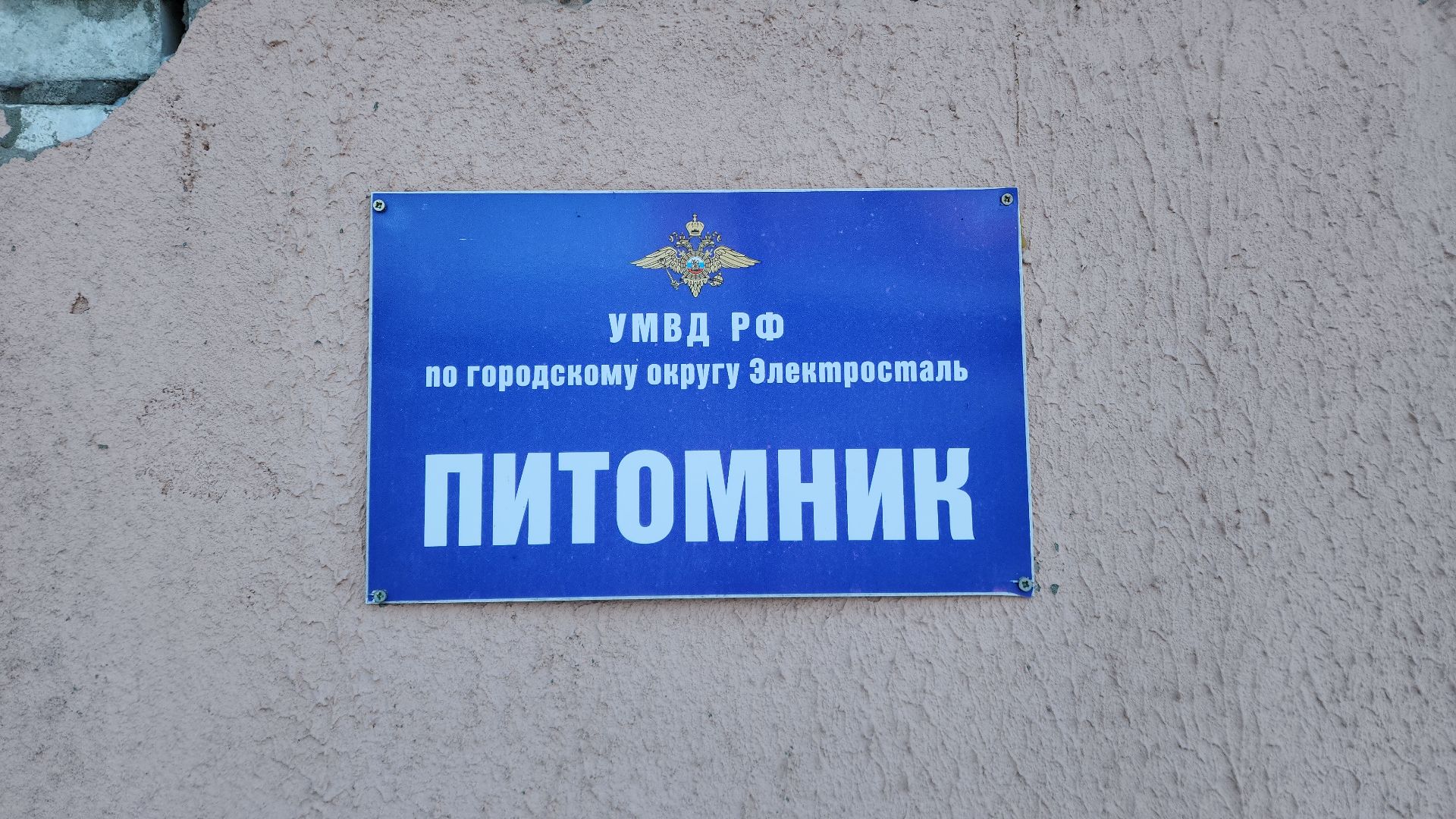 электросталь, мой город, безопасность, умвд россии, полиция, полиция электростали, кинолог, кинологи,