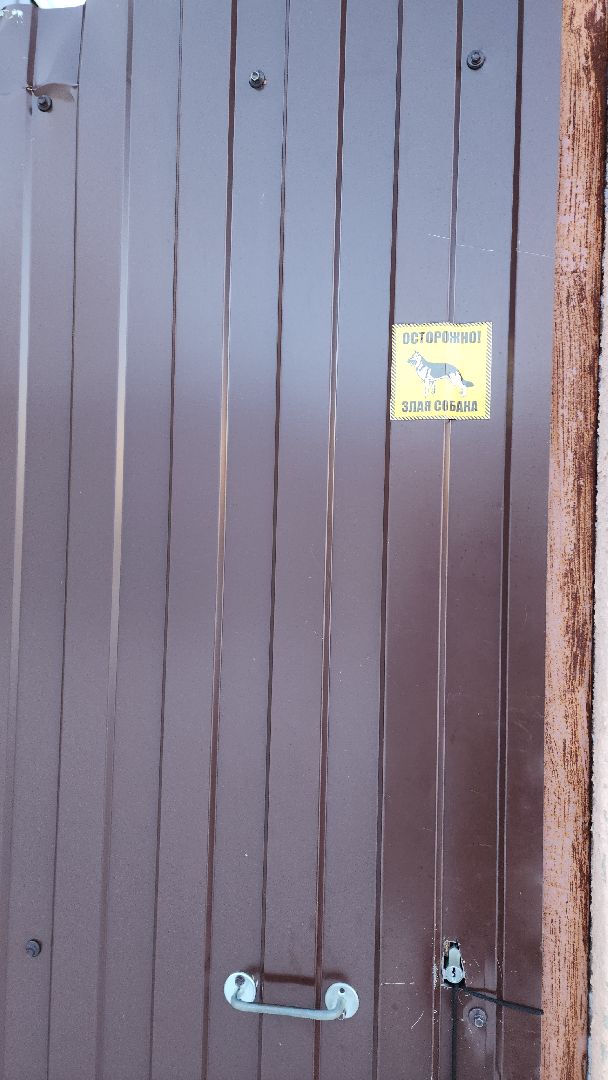 электросталь, мой город, безопасность, умвд россии, полиция, полиция электростали, кинолог, кинологи,