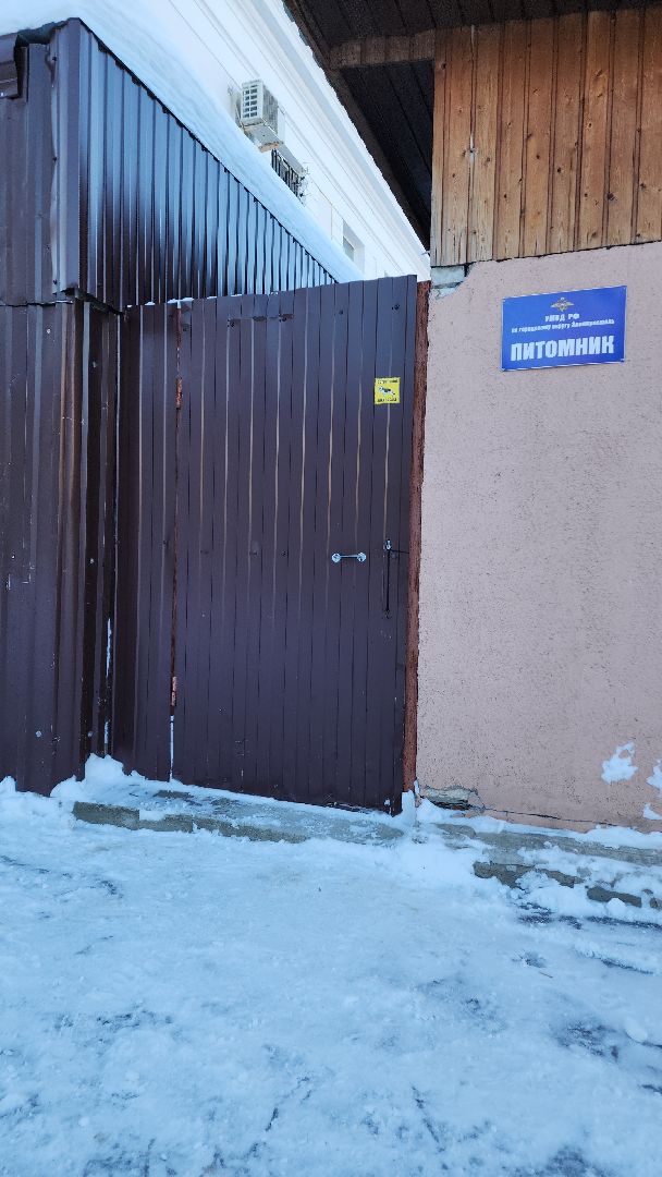 электросталь, мой город, безопасность, умвд россии, полиция, полиция электростали, кинолог, кинологи,