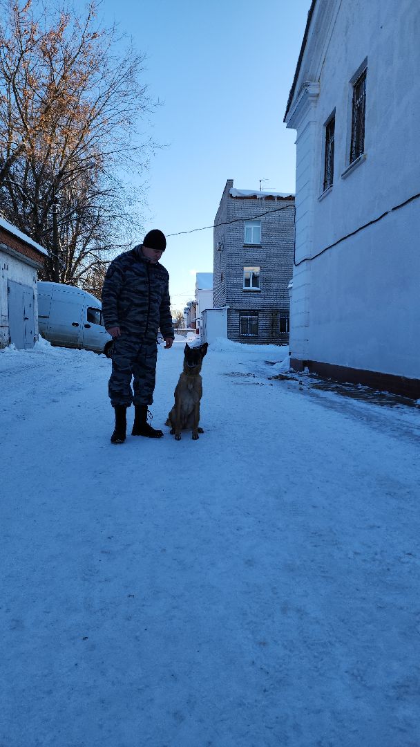 электросталь, мой город, безопасность, умвд россии, полиция, полиция электростали, кинолог, кинологи,