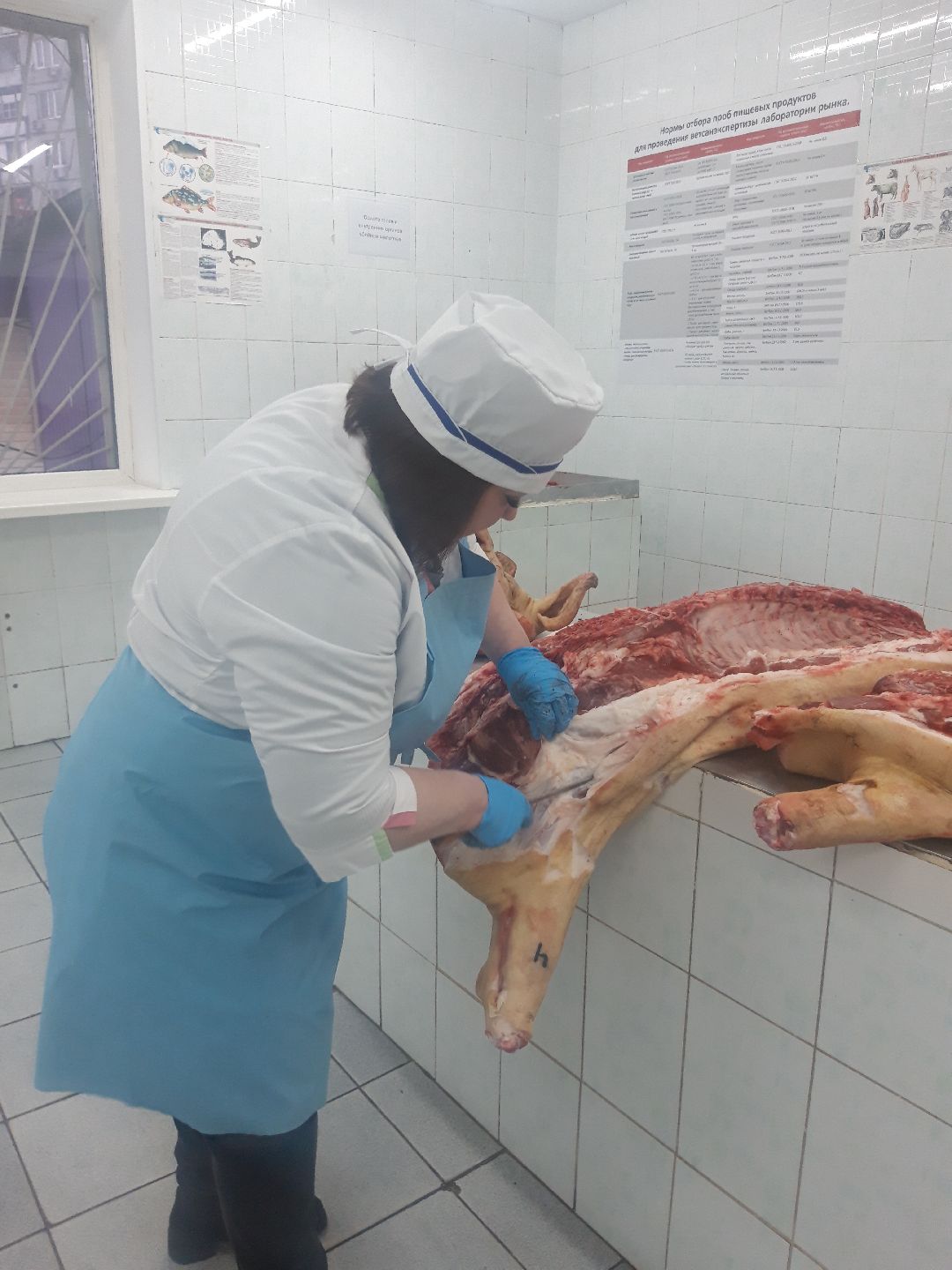 продукты, предупреждение,