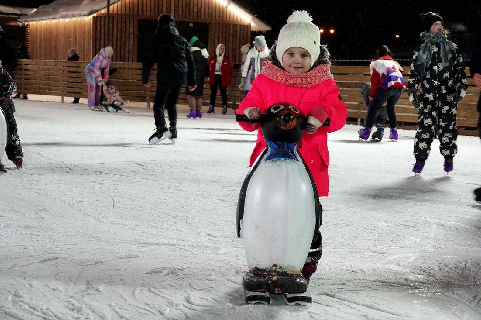 Сергиев Посад, Парк, Зачетный парк, Мособлпарк, День студента, Праздник, Скитские пруды, Татьянин день,