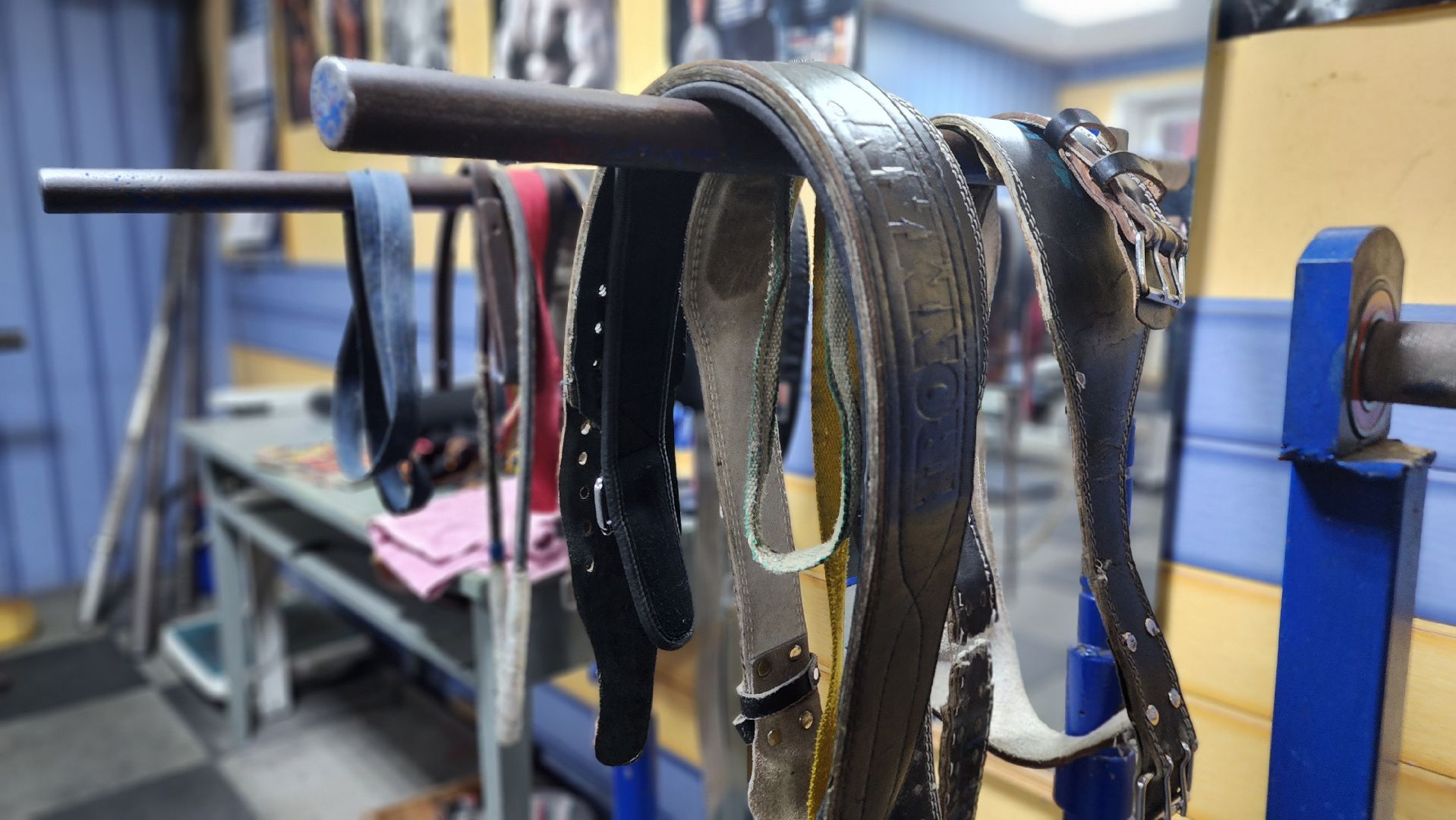 ступино, день студента, татьянин день,