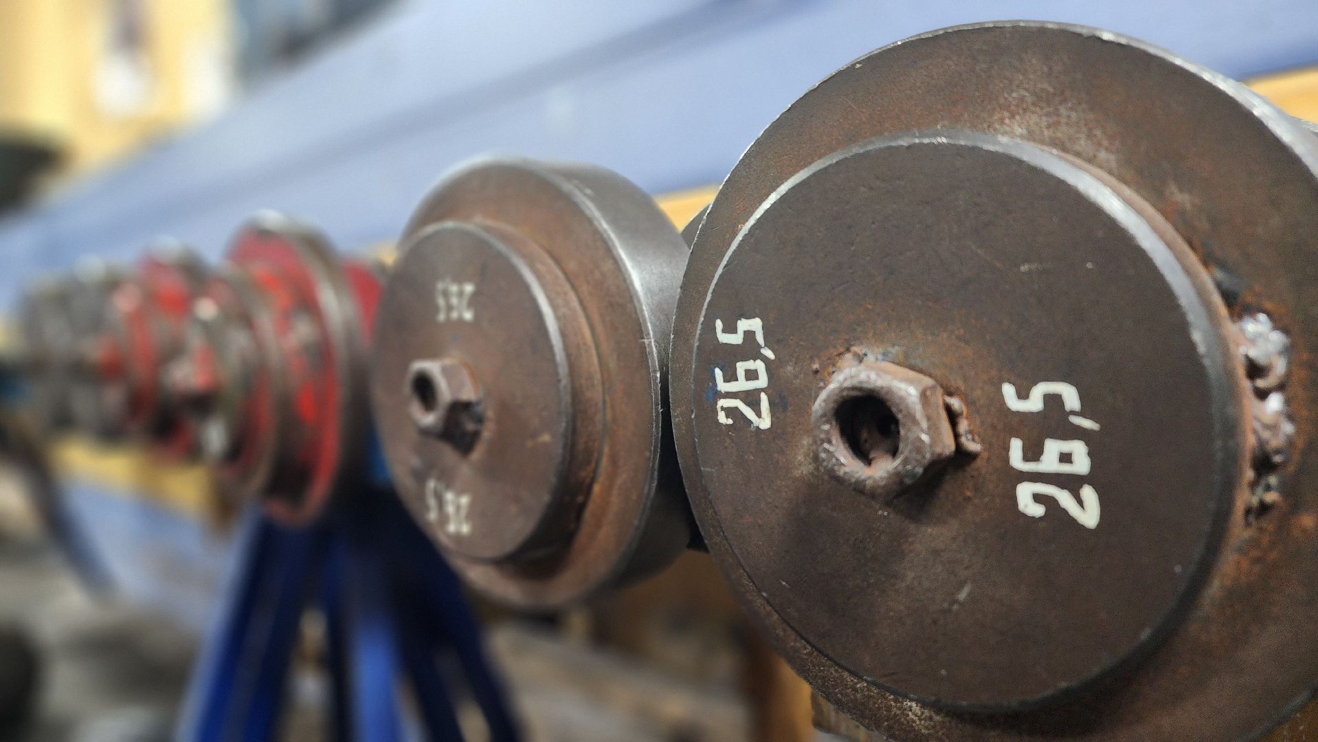 ступино, день студента, татьянин день,