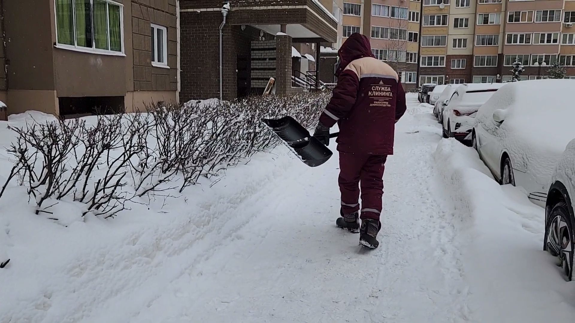 внииссок, одинцово, благоустройство, дворник,