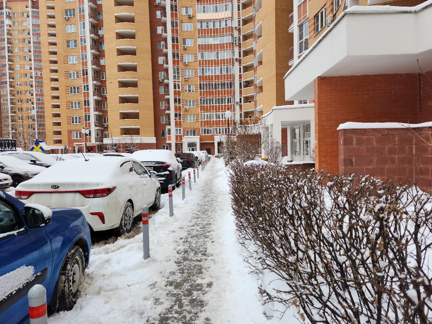 внииссок, одинцово, благоустройство, дворник,