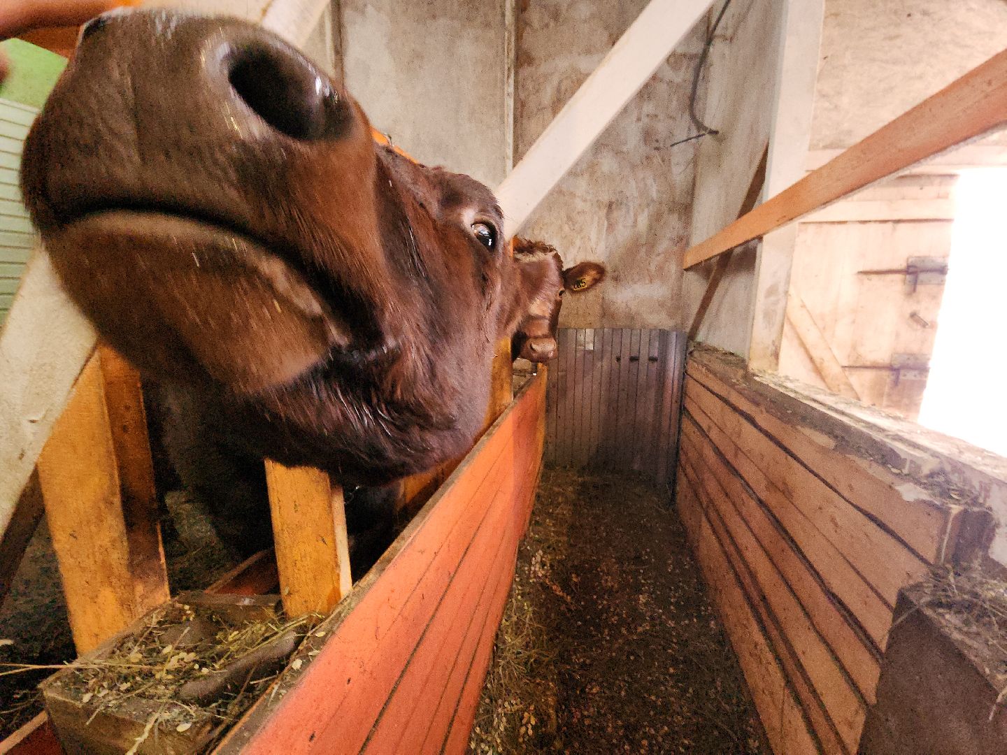 коломна, экономика, предприниматель, агростартап,