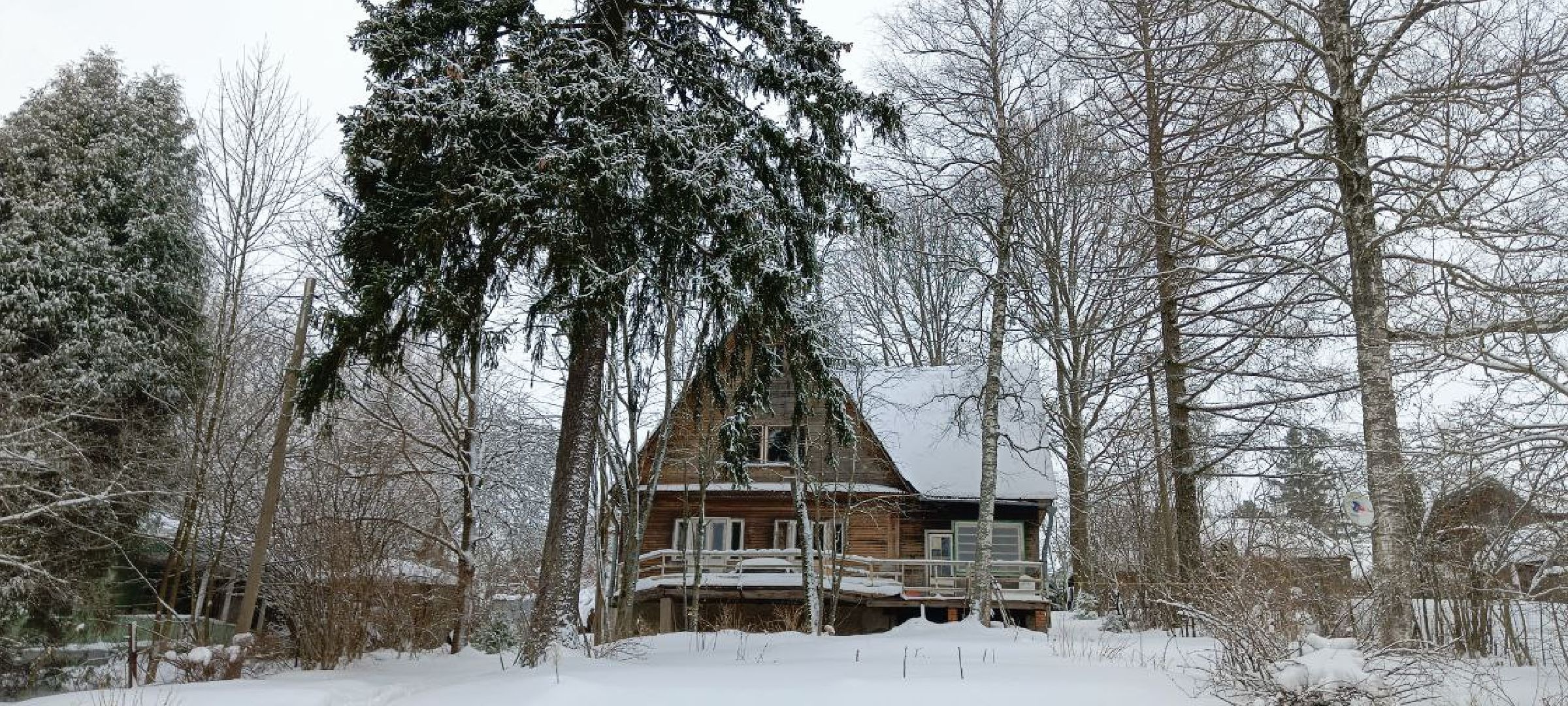 Дмитров, Деденево, Скрипичный мастер Андрей Зубенко,